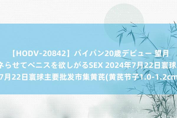 【HODV-20842】パイパン20歳デビュー 望月あゆみ 8頭身ボディをクネらせてペニスを欲しがるSEX 2024年7月22日寰球主要批发市集黄芪(黄芪节子1.0-1.2cm)价钱行情
