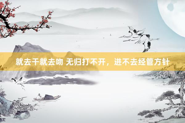 就去干就去吻 无归打不开，进不去经管方针
