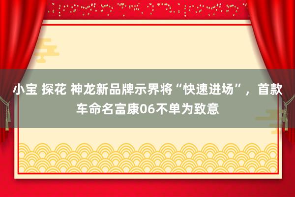 小宝 探花 神龙新品牌示界将“快速进场”，首款车命名富康06不单为致意