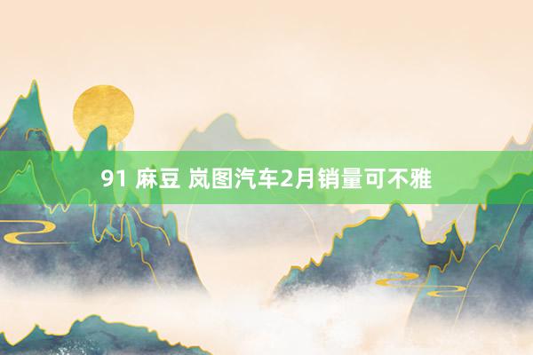 91 麻豆 岚图汽车2月销量可不雅