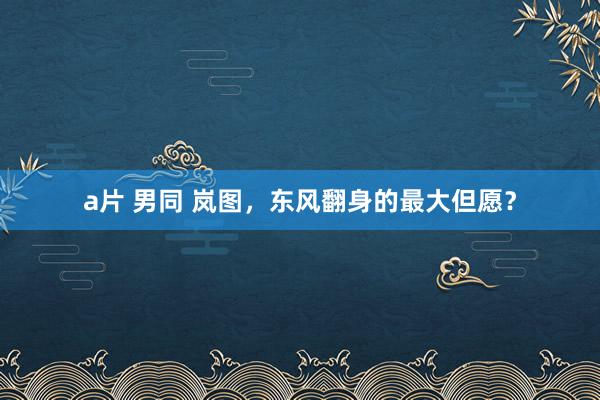 a片 男同 岚图，东风翻身的最大但愿？