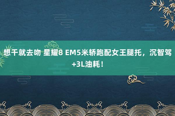 想干就去吻 星耀8 EM5米轿跑配女王腿托，沉智驾+3L油耗！