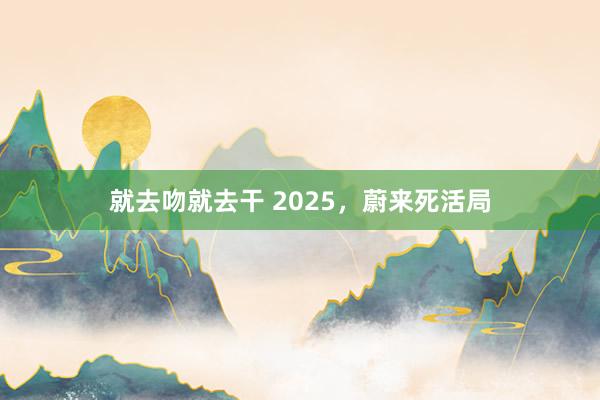 就去吻就去干 2025，蔚来死活局