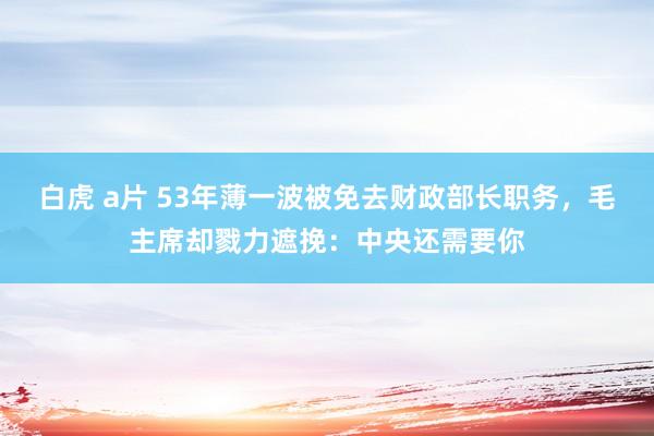 白虎 a片 53年薄一波被免去财政部长职务，毛主席却戮力遮挽：中央还需要你