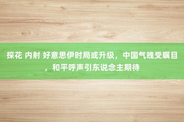 探花 内射 好意思伊时局或升级，中国气魄受瞩目，和平呼声引东说念主期待