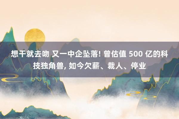 想干就去吻 又一中企坠落! 曾估值 500 亿的科技独角兽, 如今欠薪、裁人、停业