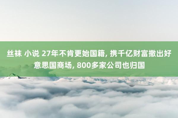 丝袜 小说 27年不肯更始国籍, 携千亿财富撤出好意思国商场, 800多家公司也归国